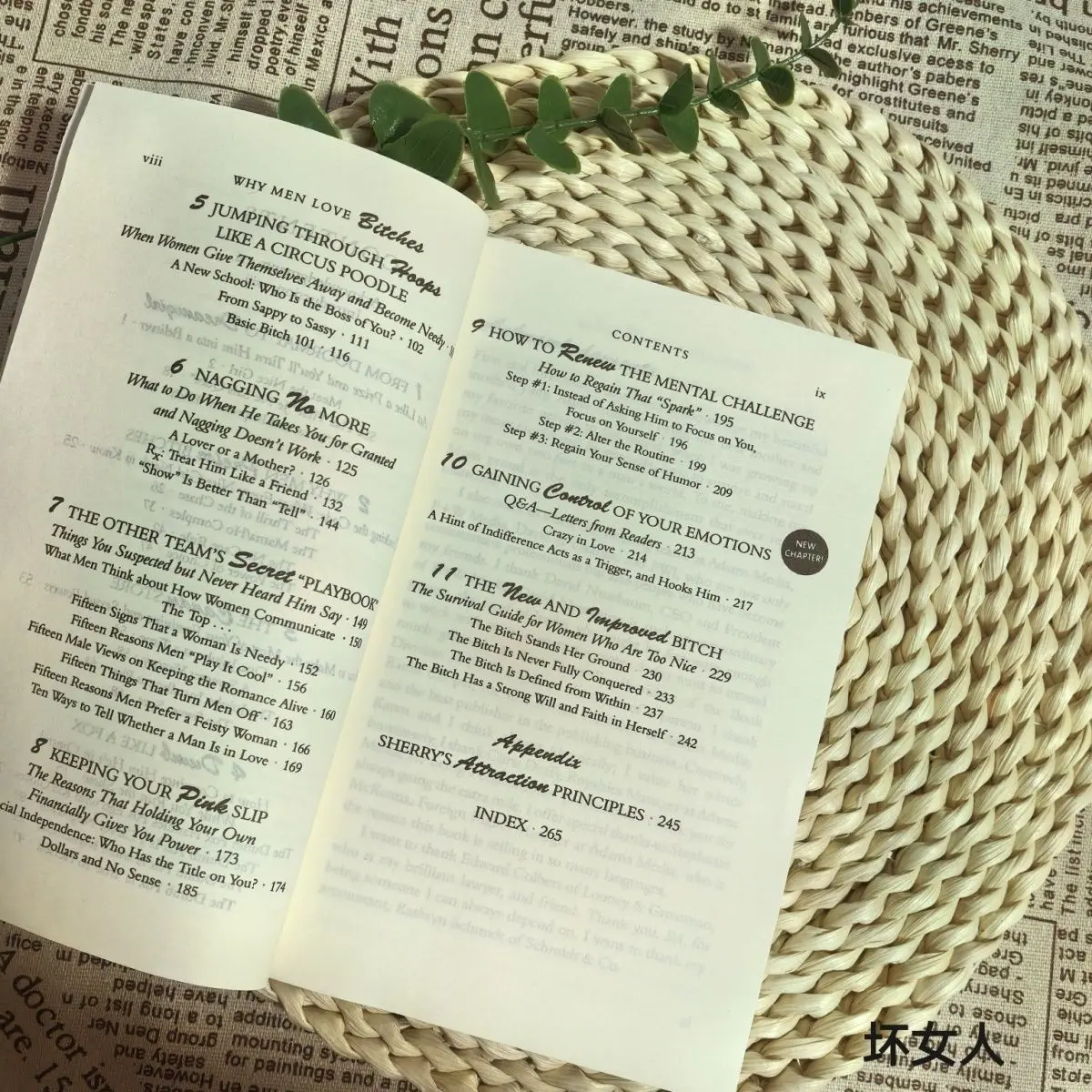 لماذا يحب الرجال العجائب: من ممسحة إلى الفتيات الأحلام - دليل المرأة للالتصاق بنفسها في علاقة