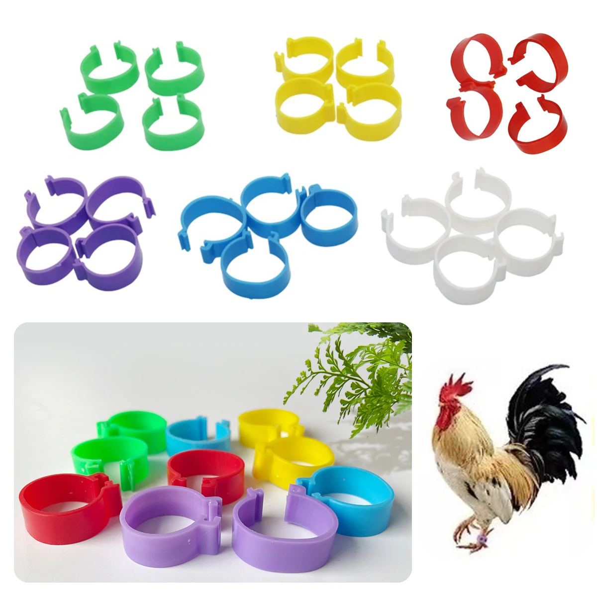 1 Pack/60Pcs Poultry Chicken Foot Rings No Words Inner Diameter 2.5cm Buckle-Type Chicken Duck Goose Plastic Clip Rings 6 Colors