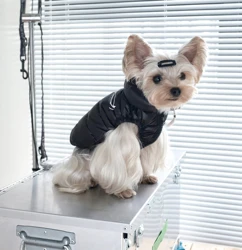 Warm Windproof Cotton Dog Coat Monochromatic Designer Winter Clothes for Large Dogs Puppy Accessories