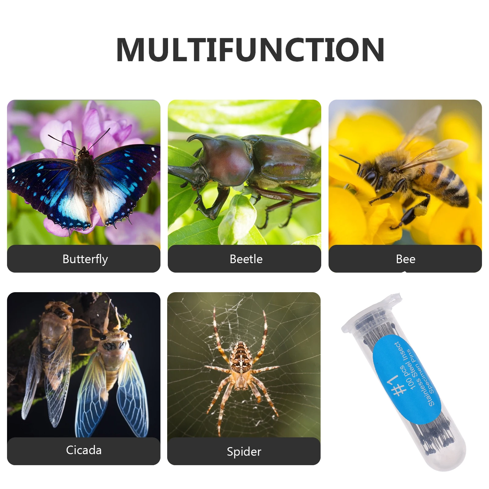 

100 pcs Specimen Needle Straight Tip Stainless Steel Insect Pin for Science Education Entomology Child Tool Part