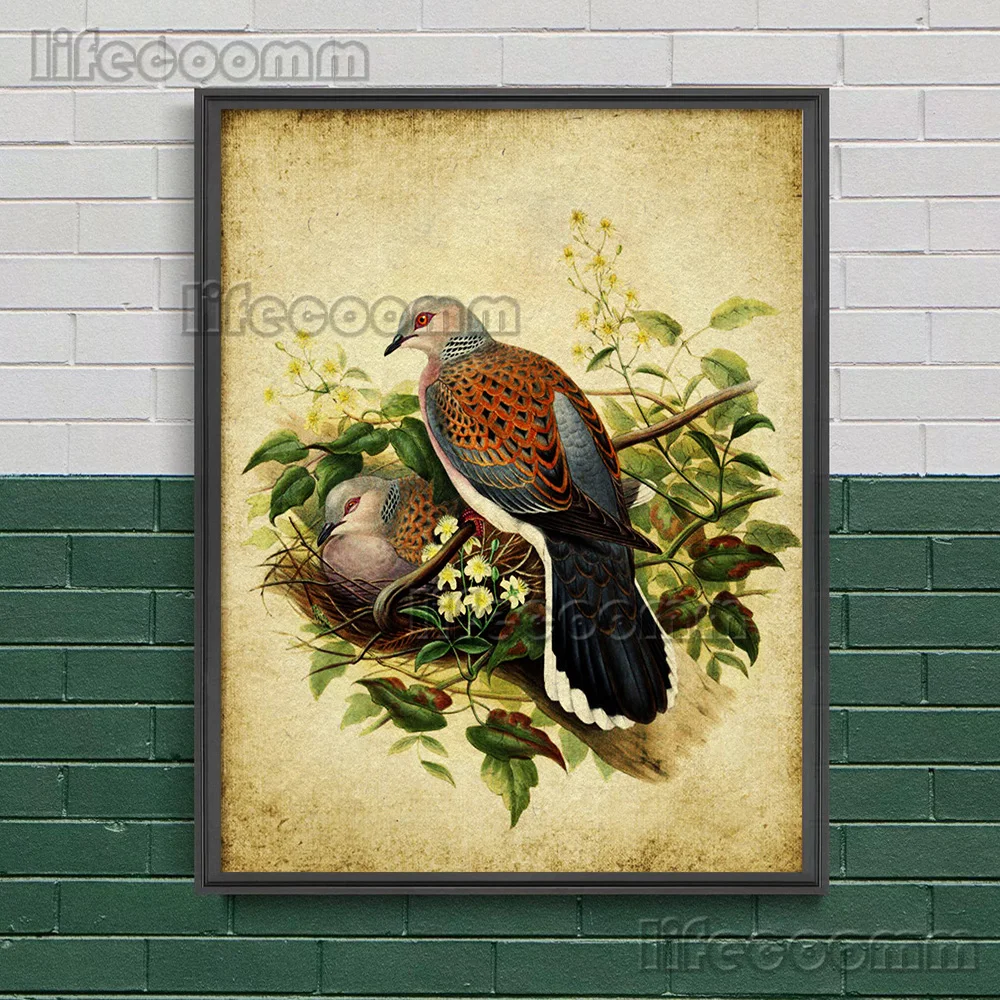 Wood Grouse Bird,Turtle Dove,Wood Pigeon,Vintage Wall Art Canvas Painting,Rustic Instant Bird Art Poster Print Home Decoration