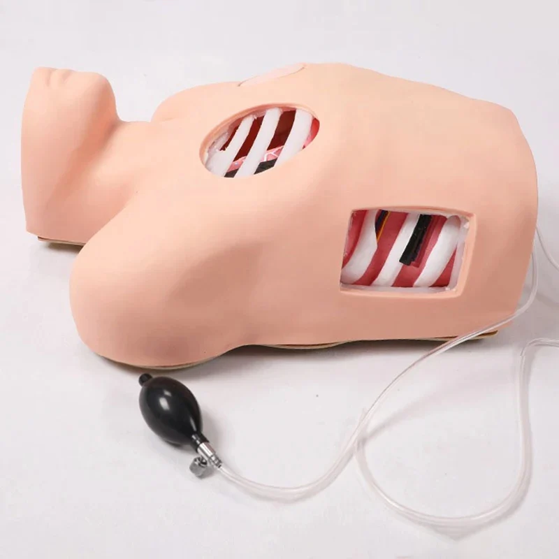 1 Set Thoracentesis And Drainage Model,Pneumothorax Puncture Hydrothorax Intubation Care, Chest Wound Nursing Teaching Simulator