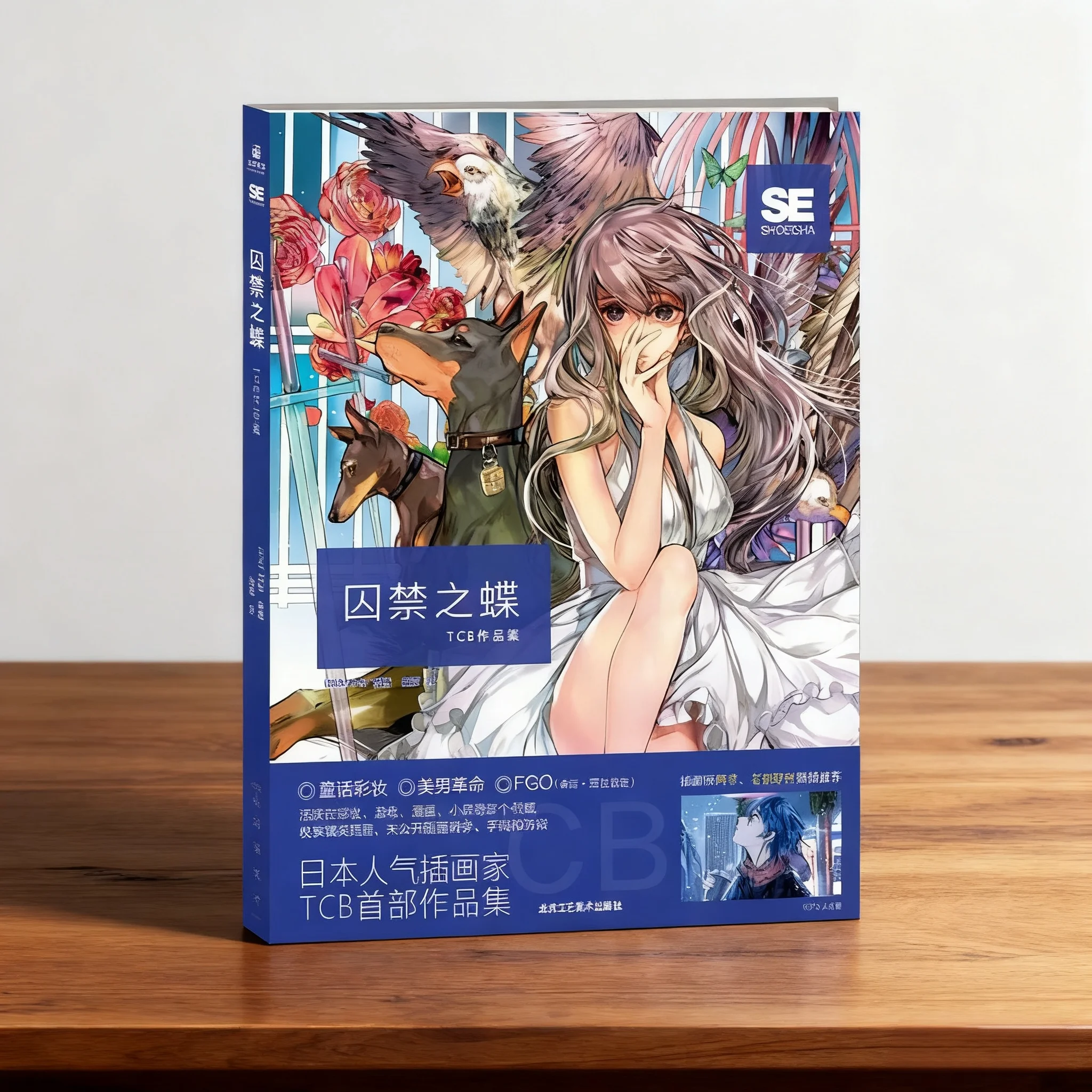 Popular Japanese Illustrator TCB: 