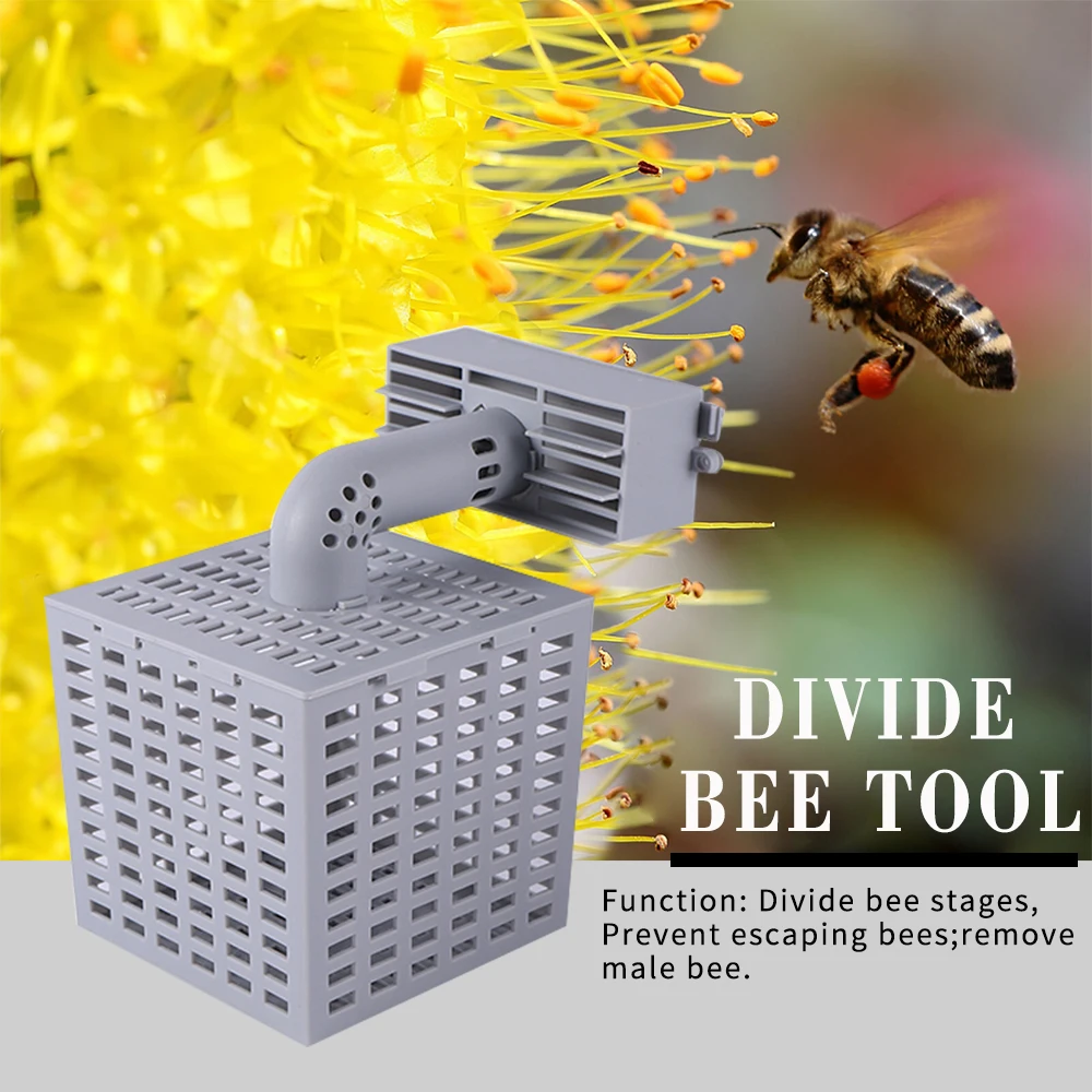 

Beekeeper Divide Bee Tool Prevent Escaping Bees Remove Male Bee Beekeeping Tools Beehive Accessories 1 Pc