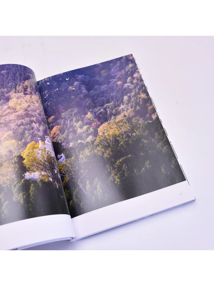 Book-Winshare Photoshop وAigc Image Post معالجة التقنيات العملية الأساسية #3