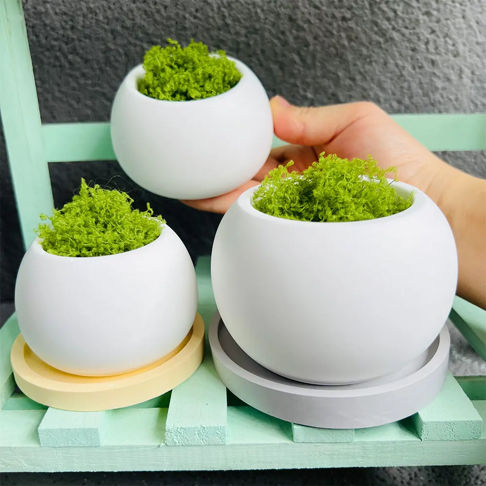 Succulent Plant Pot Concrete Silicone Mold Desktop Decoration Flowerpot Tray Mold Cement Candle Cup Candle Holder Plaster Mold