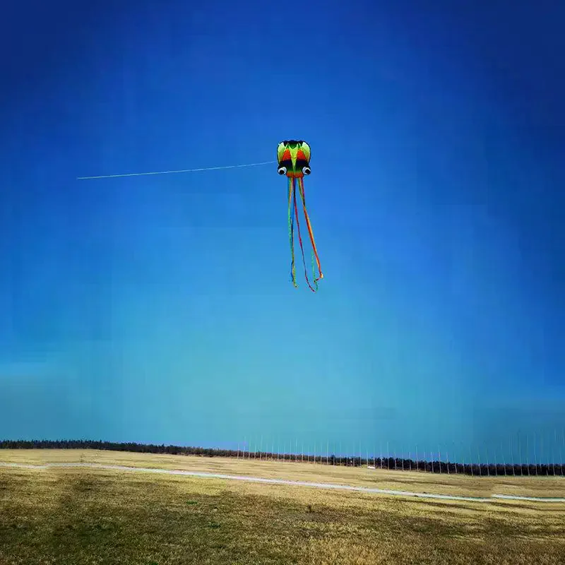 1 Set riesige weiche Drachen für Erwachsene, Outdoor-Spielzeug, regenbogenfarbener 3D-Krake-Weichdrachen, 4 m riesiger Drachen mit 100 m Reifenlinie