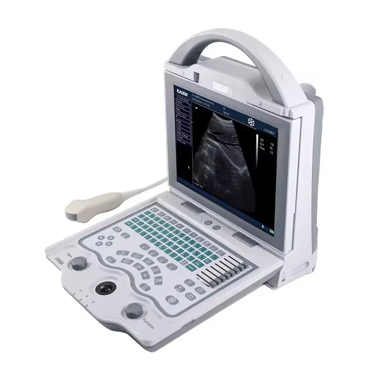 Pet Laptop Ultrasound Machine Usg Scanner Dog Cat Uterus Pregnancy Testing Fetal Sonar Equipment