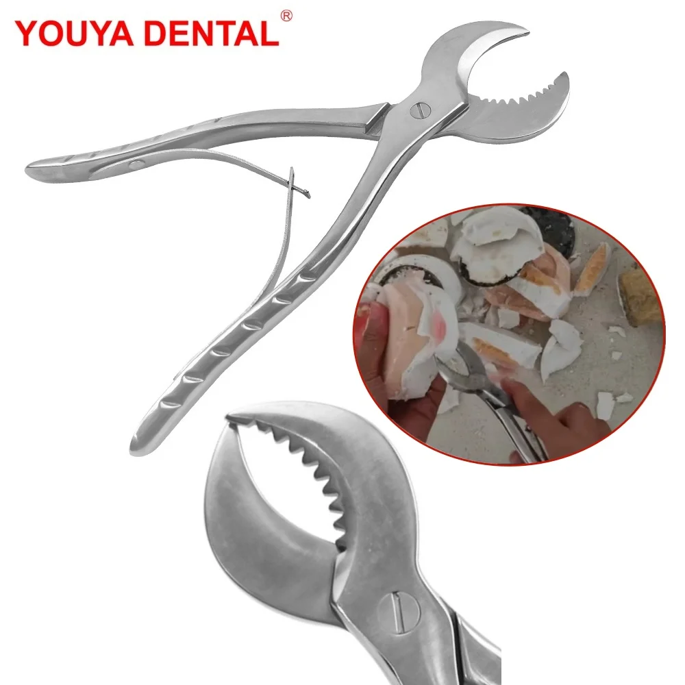 

1pcs Dental Plaster Shears Large/Small Stainless Steel Plaster Forceps Gypsum Pliers Scissiors Dentistry Lab Instrument Tools