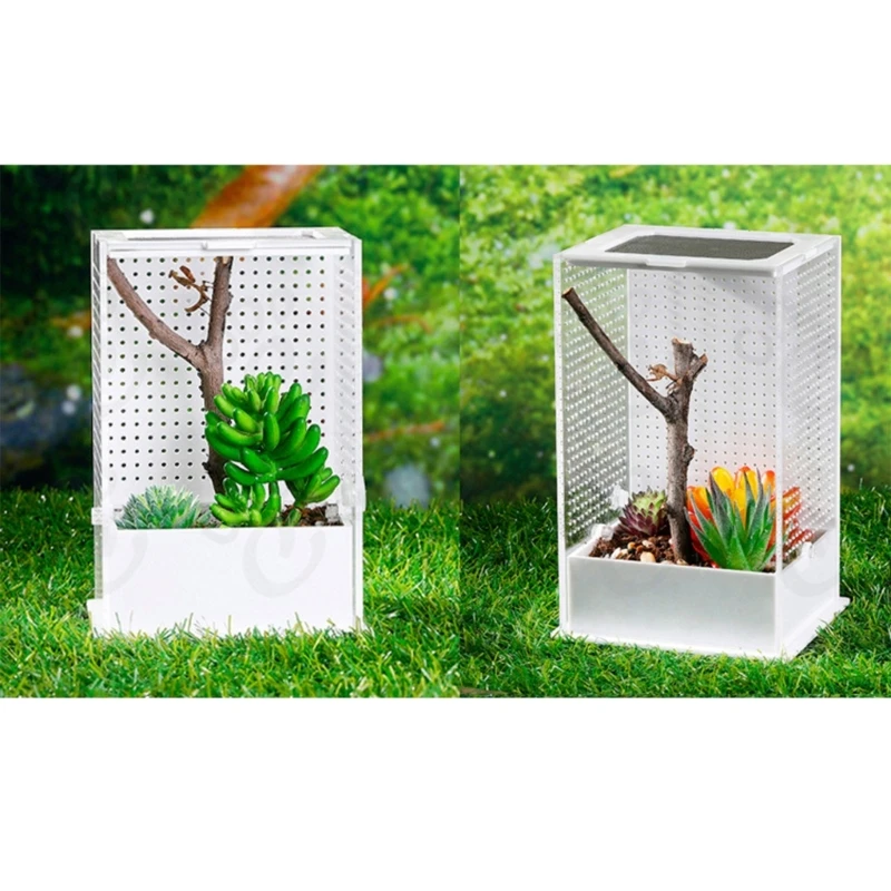 Insect Feeding Box Plastic Transparent Breeding for Case for Spider Lizard Centipede Horned for Frog Mantis Small Snake