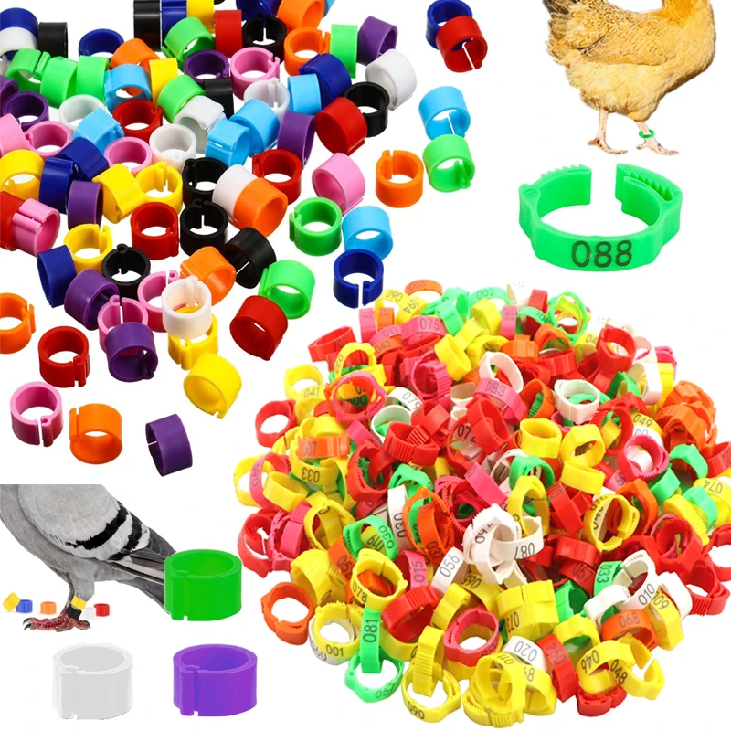25/100P Chicken Leg Rings Adjustabl 1