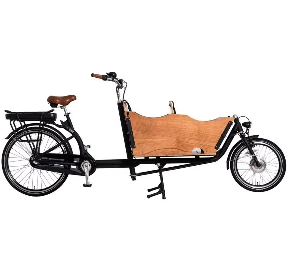 

Best-selling Electric Bicycle With Baby Seat 2 Wheel Cargo Bicycle Family Cargo Bicycle