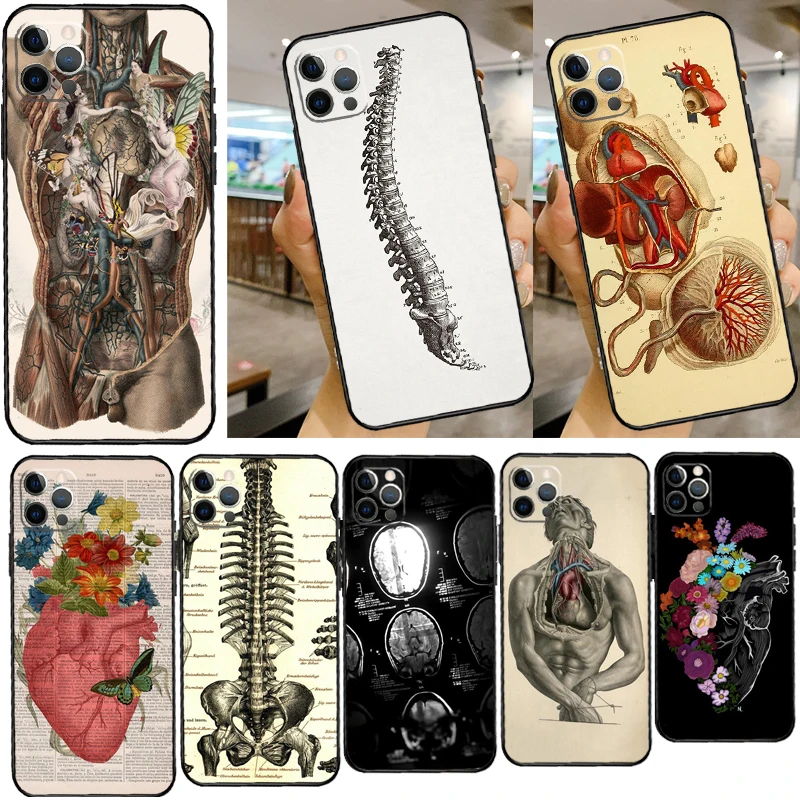Medical Human Anato… - image