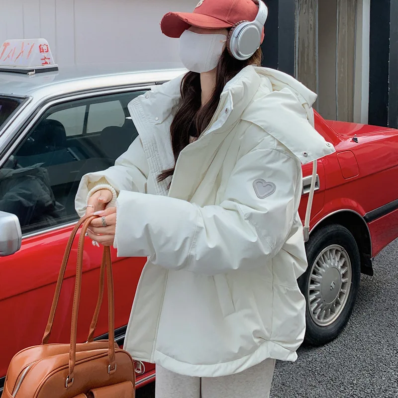 FL Damen-Winterjacke, warm, gepolstert, Mantel, 2026, neue Daunen-Baumwolle, mit Kapuze, solide, dicke Parka, wasserdicht, geschwollene, koreanische Mode im Freien