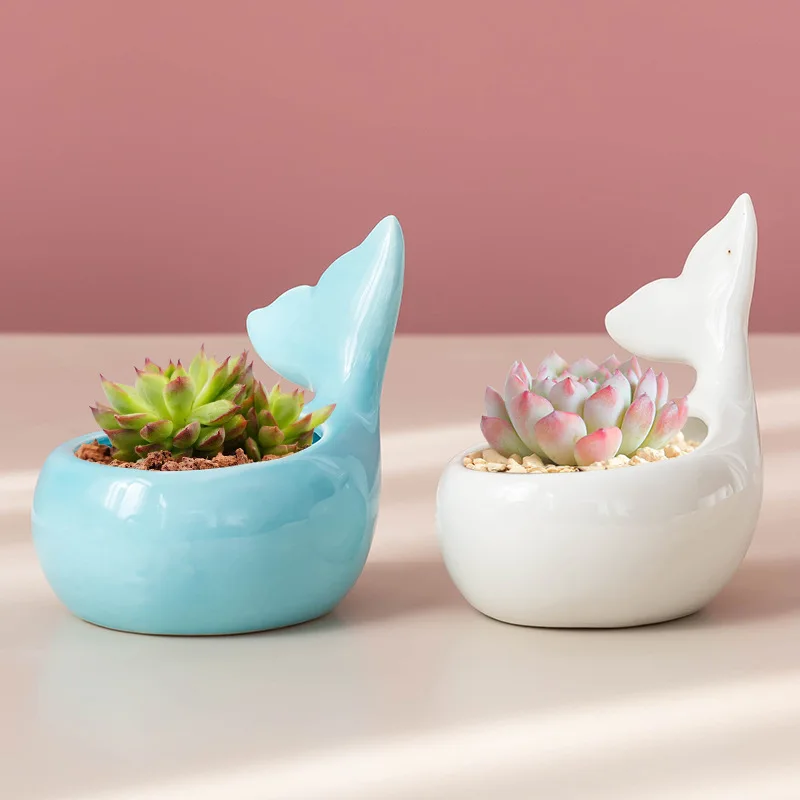 Cute Whale Flower Pot Succulent Pot Ceramic Planter Home Decor Desktop Ornaments Bonsai Plant Pot Garden Decoration