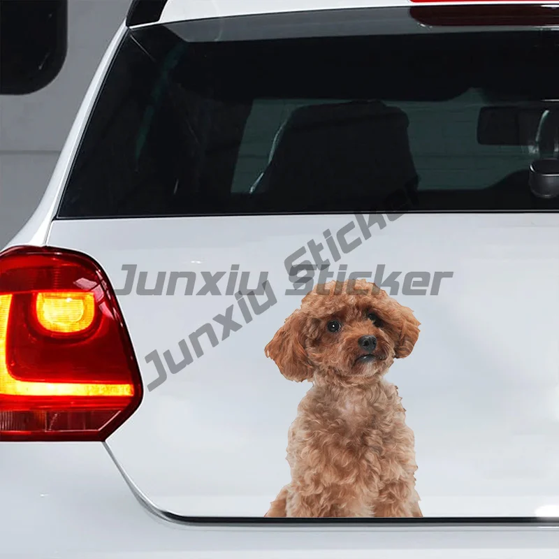 

Car Sticker Poodle Dog Pet Animal Waterproof Vinyl Decal Car Accessories Decor Pegatinas Para Coche