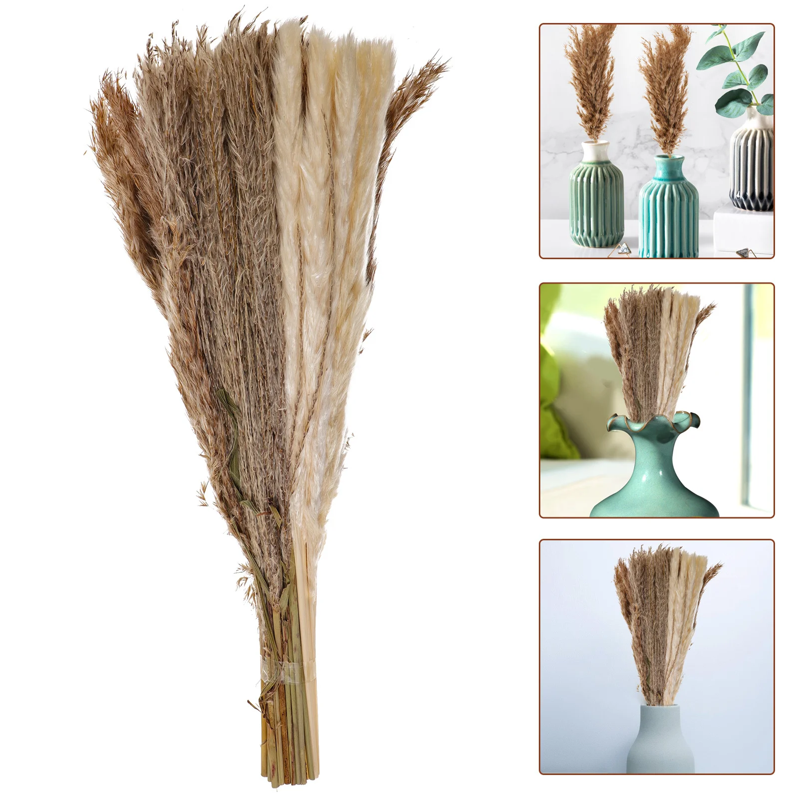 

1Set Preserved Reed Decor Artificial Pampas Grass Plant for Table Decoration DIY Floral Arrangement Home Office Wedding Event