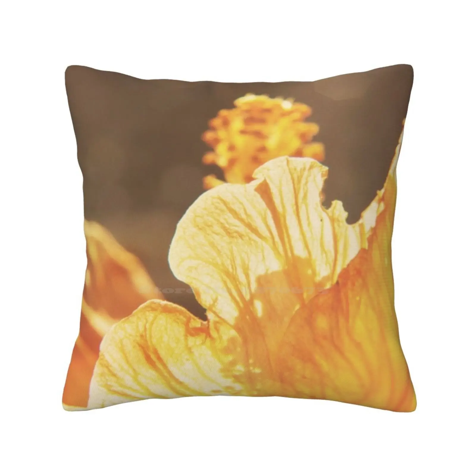 Heaven'S Smiling Down On Me Home Sofa Car Cushion Cover Pillowcase Denise Abe Germany Bokeh Summer Flower Hibiscus Textured