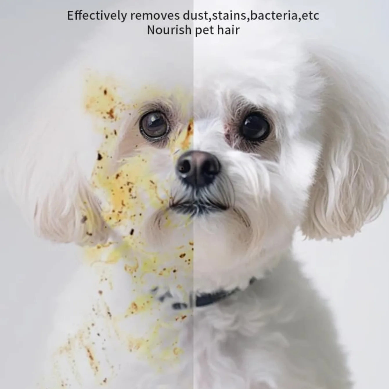 Thumbnail 3 - #8 Pet Grooming Gloves List of Top Picks