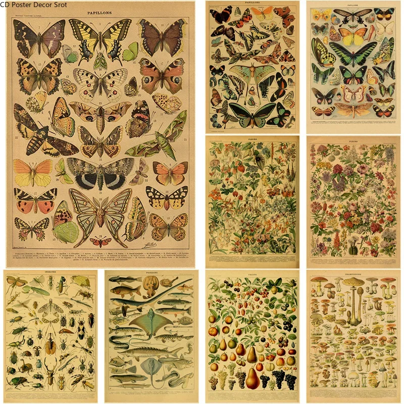 1PC frameless decorative art print,Butterfly Insect Flower Mushroom Poster Botanical Educational Kraft Paper DIY Vintage Home Ro