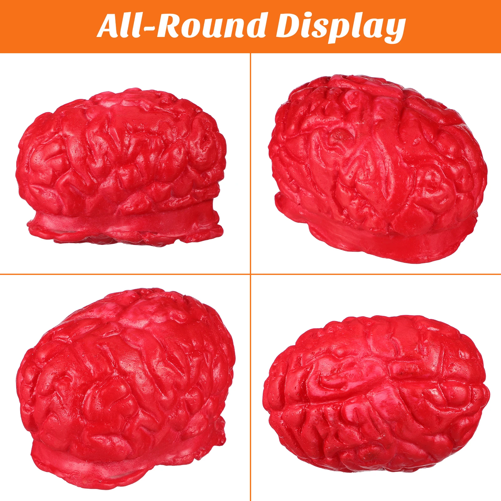 

Life Size Realistic Human Brain Props Scary Squeeze Effect Halloween Party Murder Mystery Decor Fake Body Parts Rubber Toy
