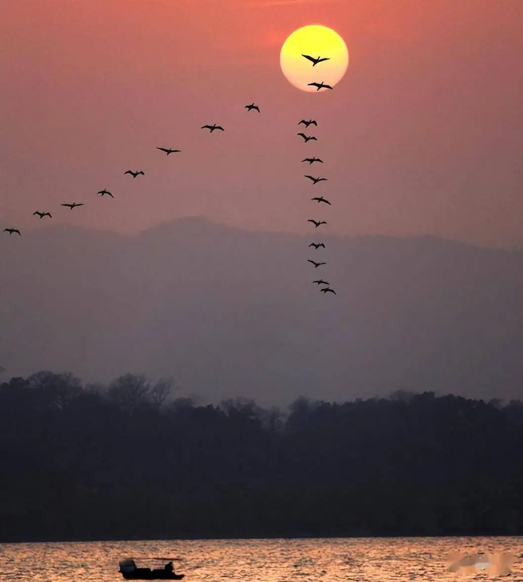 

Auto Radio 15" Carplay Stereo Multimedia Player Screen For Porsche Cayenne 2024 Co-pilot Radio Entertainment Screen Head Unit