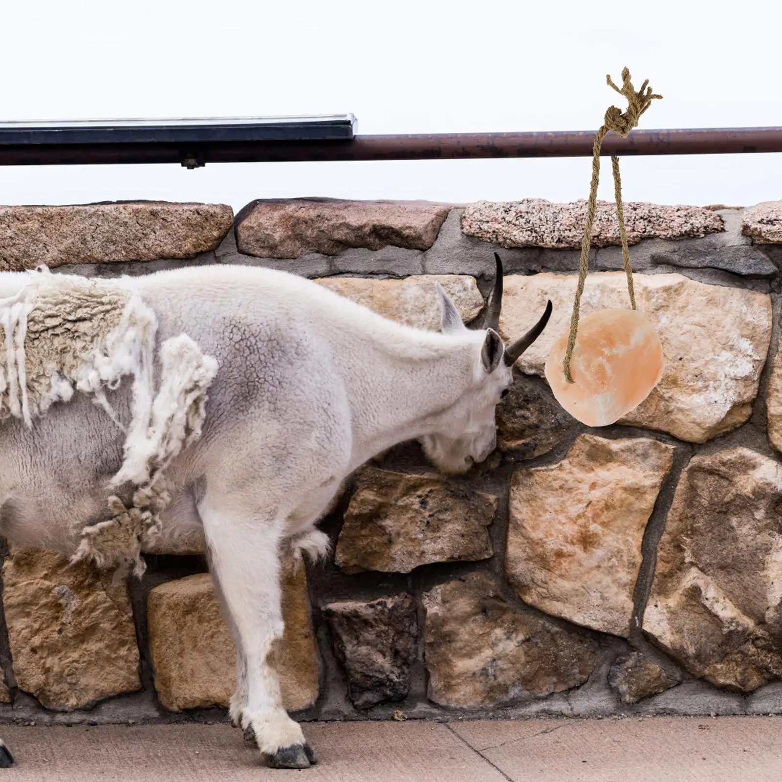 مكعبات لعق لحيوانات المزرعة، خيول الغزلان، الماشية المعدنية، كتل معلقة، مستلزمات الماشية من الطوب الطبيعي، الحيوانات الأليفة، لعق الملح