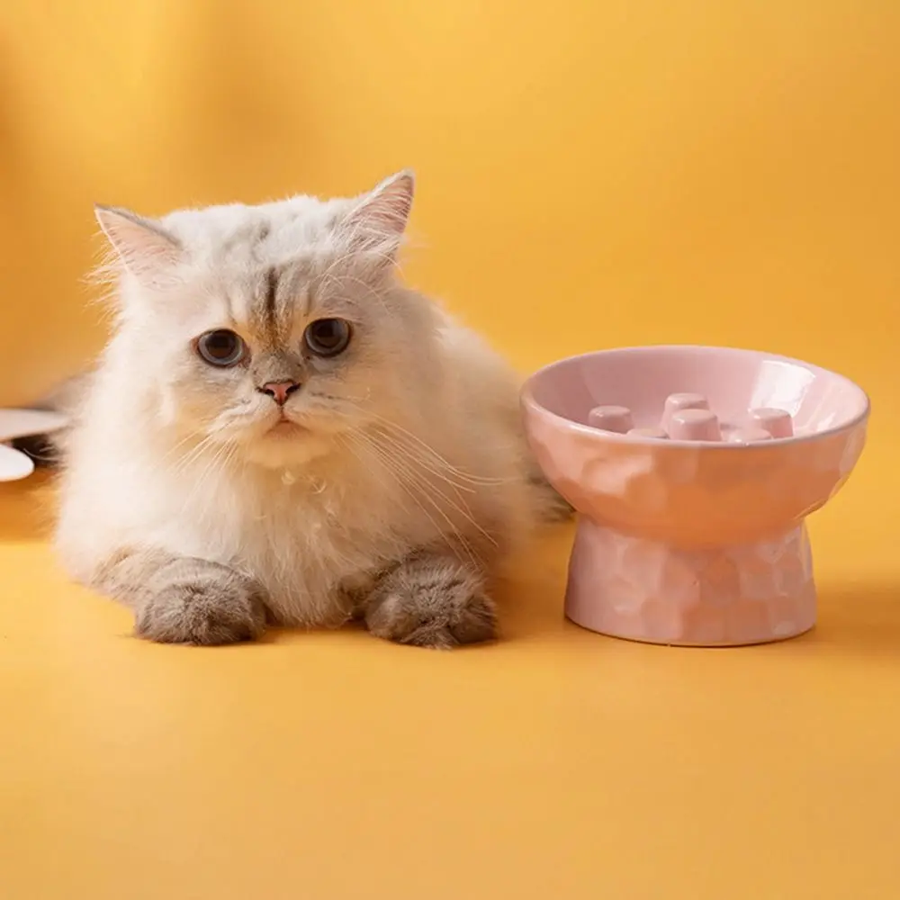 

Ceramic Cat Slow Feeder Bowl Slanted Mouth Anti Tipping Pet Drinking Eating Feeder Anti Vomiting Neck Protection