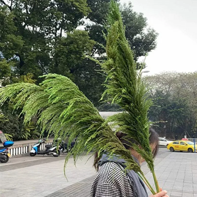 Large Dried Flowers Pampas Grass Tall,Boho Home Decor,Natural Pompas Floral for Wedding  Party  Arrangement Living Room Decor