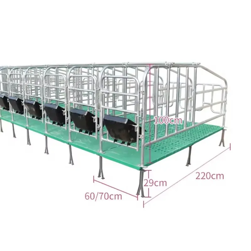 Hot Dip Galvanized Steel Pipe Pig Gestation Stall Pregnancy Cage Pen Cage for Pregnant Sow Cage