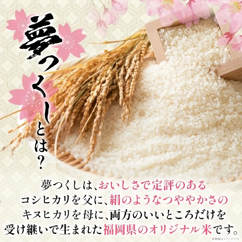 فوكوكا بريف. سعة 5 كجم للاختيار أرز يومي تسوكوشي أرز أرز أرز أرز أرز أرز أرز أرز أرز أرز أرز أرز أرز لذيذ لذيذ #2