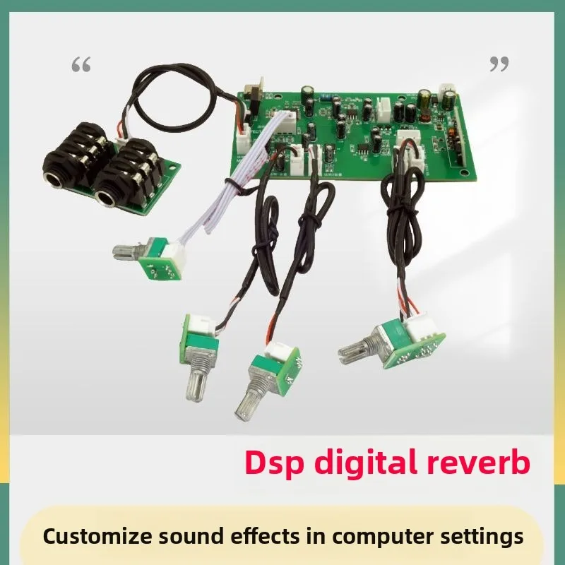 

Dsp reverb karaoke preamp microphone amplifier with delay, exciter, vocal effects, subwoofer, and tone control