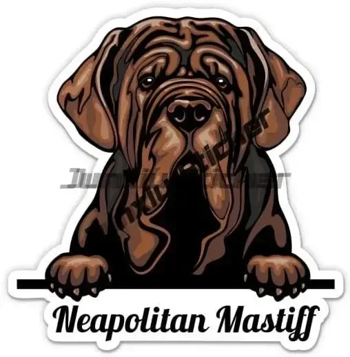 Mastiff Dog Sticker English Spanish Mastiff Tibetan Mastiff Decal Dogs Accessories Motorhome Rv Caravan Sticker Decoration