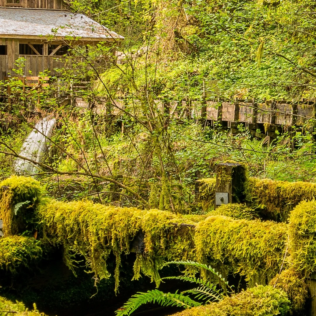 8G 128G Android 13 … - image