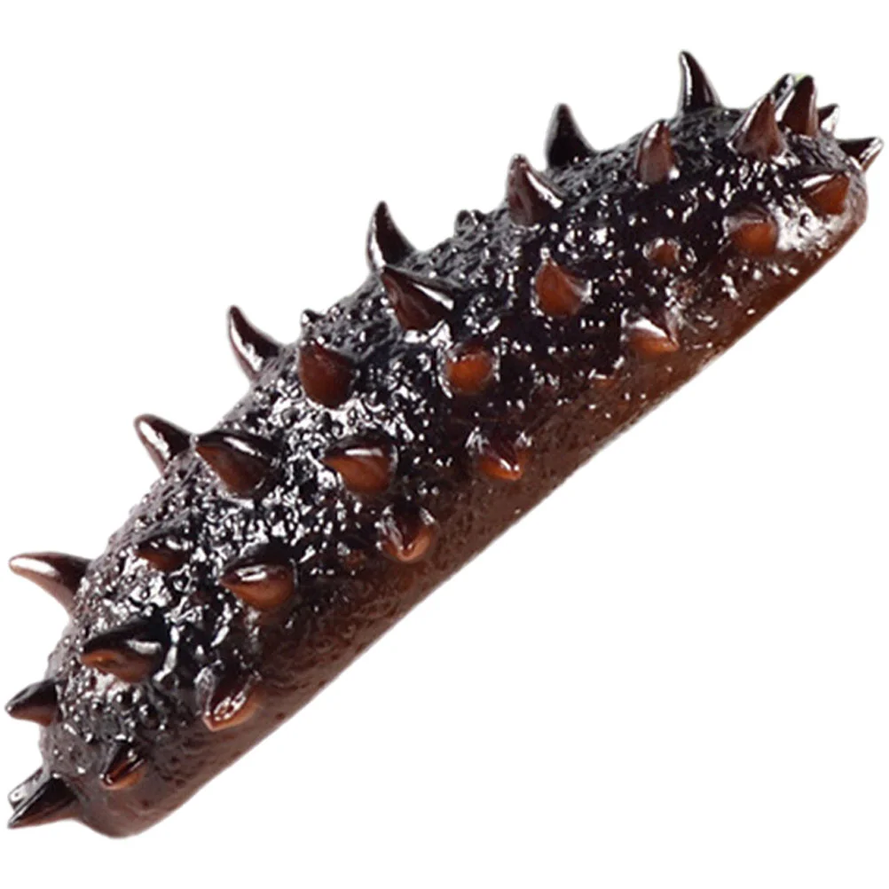 Realistic Sea Cucumber Models Restaurant Simulation Food Models Fake Sea Cucumber Props Simulation Sea Cucumber Model