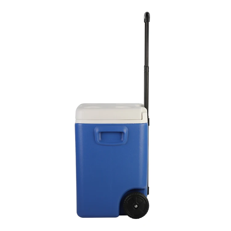 미니 냉동고 냉장고 12V 220V AC DC 쿨러 박스 미니 침실용 휴대용 냉장고 차량용 냉장고