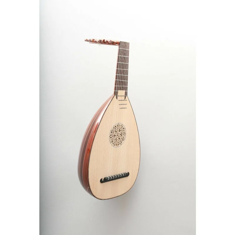 Lute Niche Guitar Instrument Middle Eastern Pipa