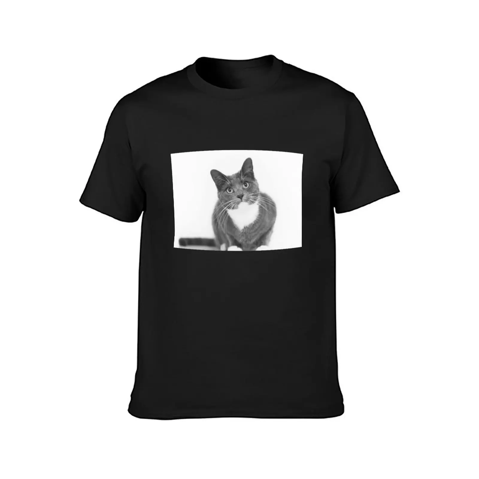 Camiseta gráfica de gato cinza e branco masculina, tops plus size, gráficos simples alfandegários, anime