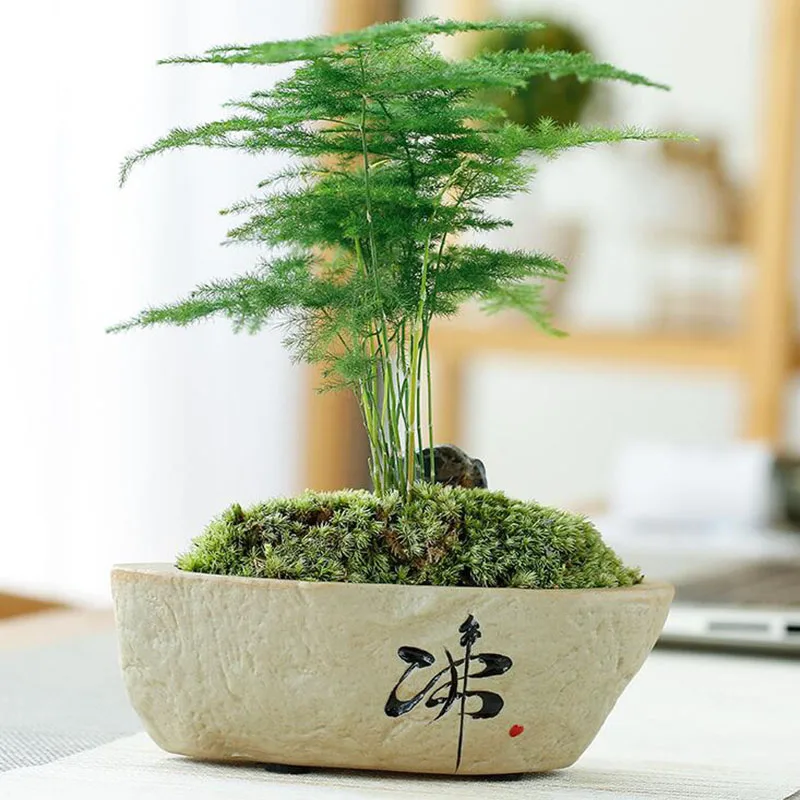 Creative Retro Chan Coarse Pottery Green Plant Pot Flower Pot Fleshy Vase Container Desktop Ornaments Home Decor