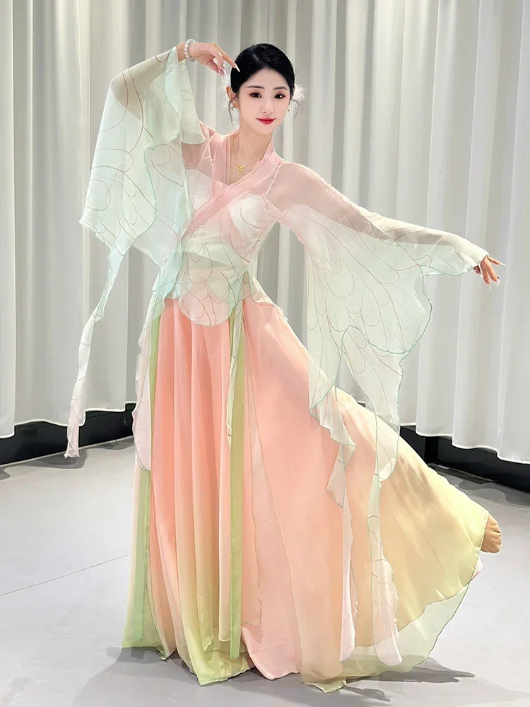 Classical Dance Costume Female Butterfly Dancing Dress Chinese Classic Dance Elegant Mesh Performance Wear