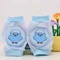Chicken blue