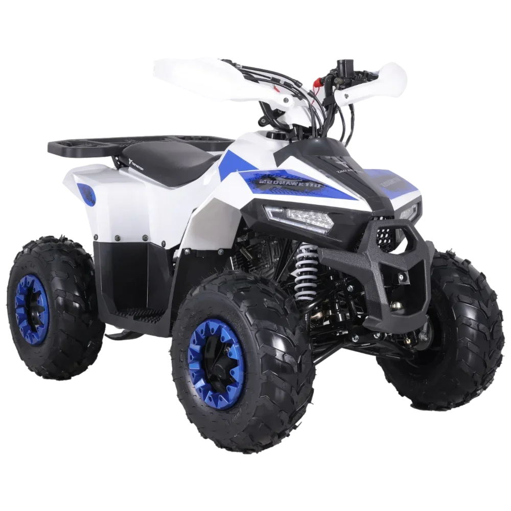 Kids 110cc ATV Automatic 110cc Quad Bike Atv for Kids Electric Start Chain Drive 7inch