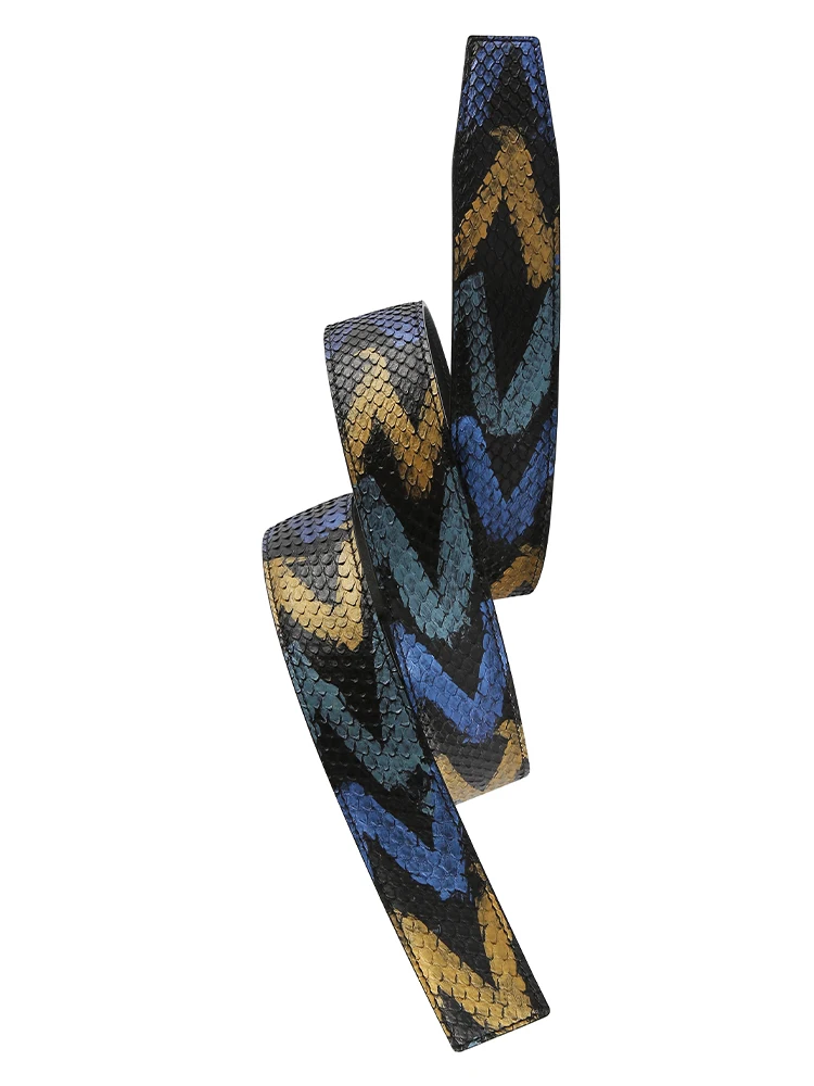 Ceinture en Python group pour Homme, Design Original, Sans Feuille ni Corps, Ceinture Individuelle, Grande Marque, Ceinture de Remplacement Personnalisée