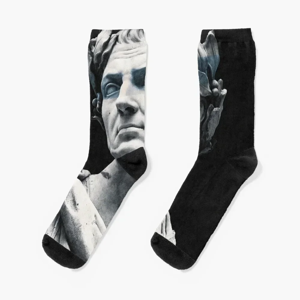 

Caesar Socks floral Stockings man retro Argentina Socks Men Women's