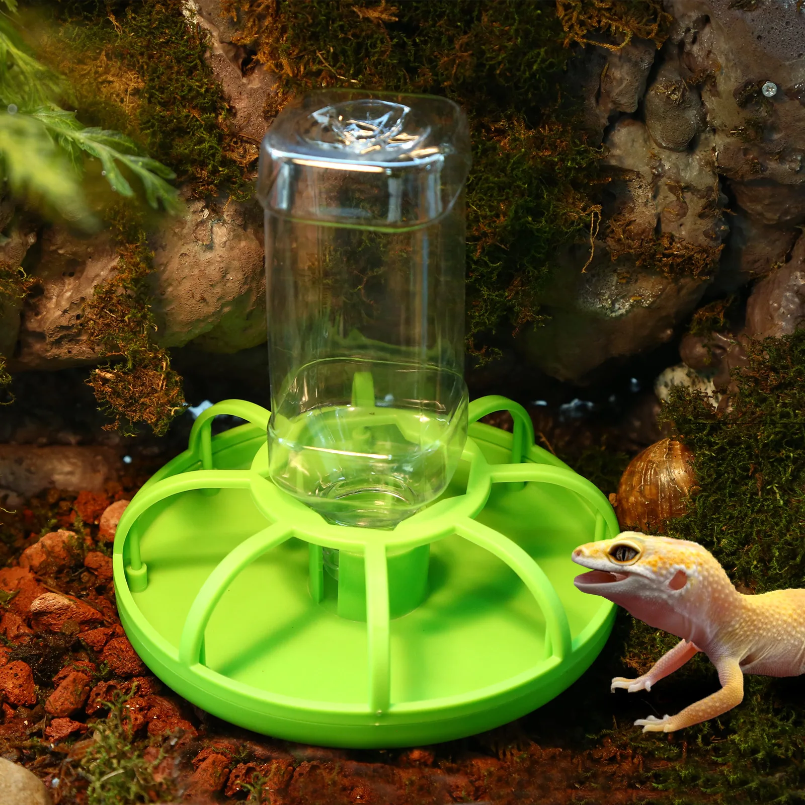 Automatic Reptile Water Dispenser - 7.5oz Hydration Station for Lizards, Turtles, Snails, Spiders, Frogs & Bearded Dragons