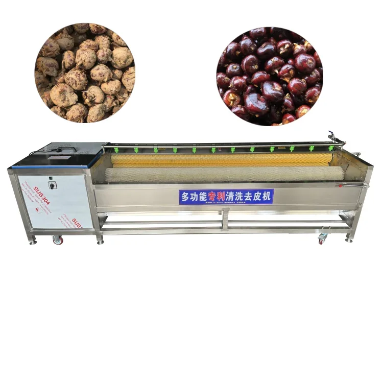 potato dates garlic peeling machine / beetroot washing / Lotus root cleaning