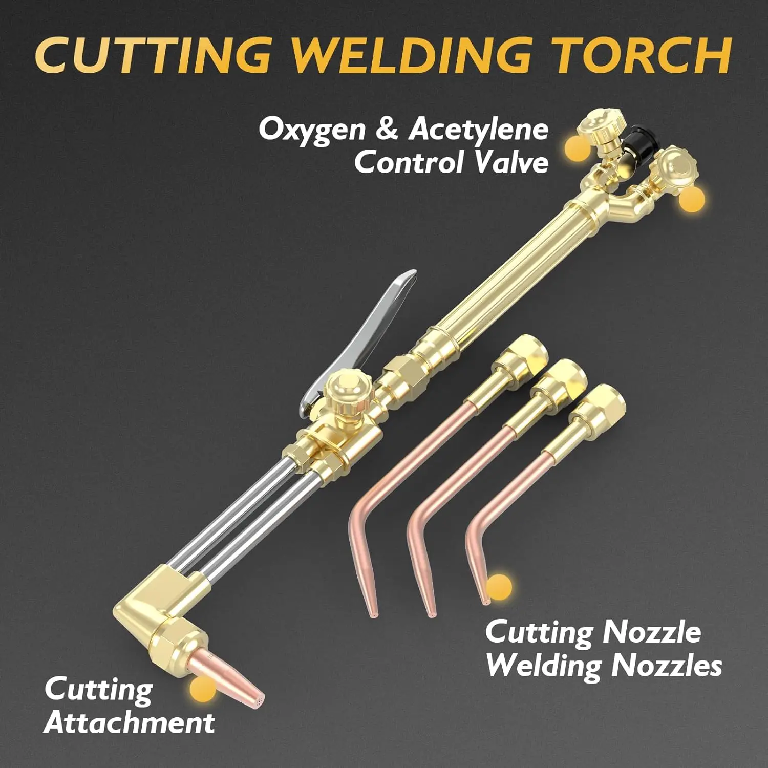 Oxygen & Acetylene Torch Kit Gas Cutting Welding Torch Set Welder Tools with Regulator Gauges Nozzles Hose