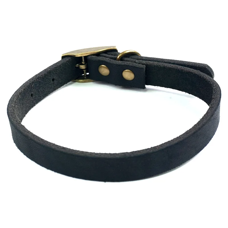 Top Grain Leather Dog Leash - Genuine Cowhide Adjustable Collar for Small Medium Large Dogs, Outdoor Training Lead