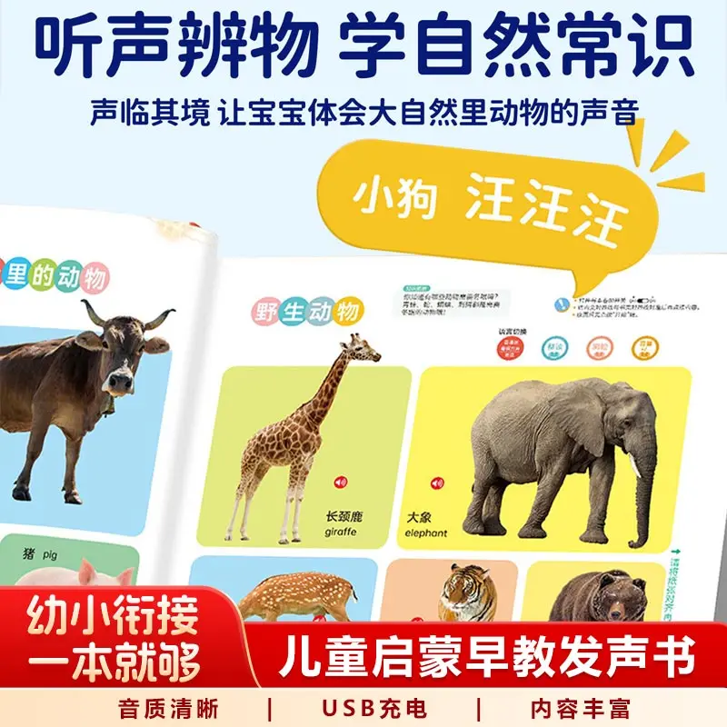 

Chinese Character Learning, Audiobooks, Cognitive Early Education, Children's Character Recognition Books