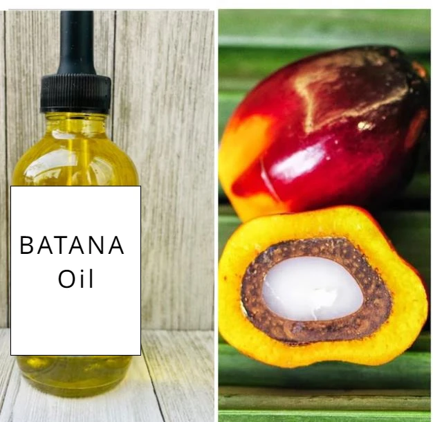 BATANA Oil Raw Cold Pressed From Honduras HAIR GROWTH Treatment Super Hydrating Super Moisturizing Makes Hair & Skin Soft